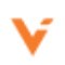 ValidatorAI logo